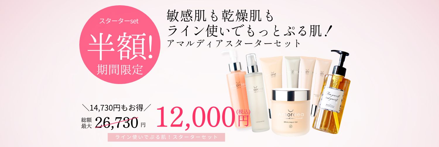 半額！スターターセット