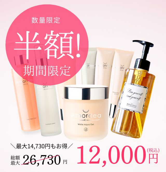 半額！スターターセット